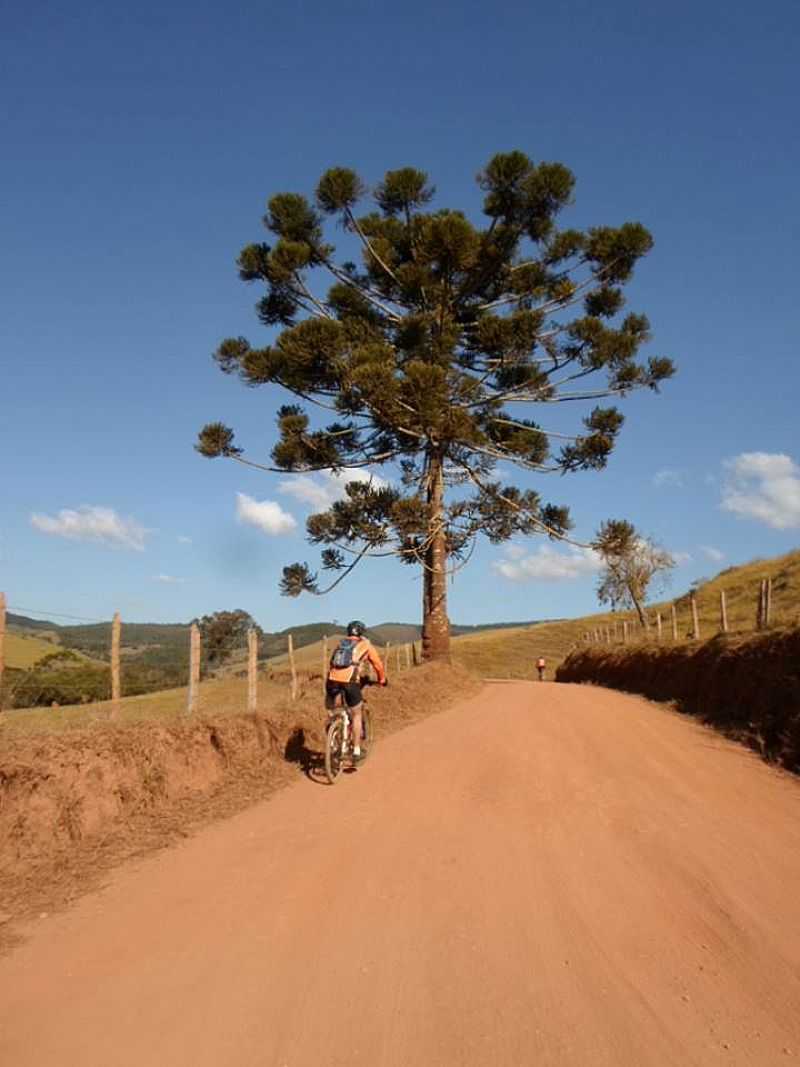 CARVALHOS MG -PARASO DAS TRILHAS E CACHOEIRAS - CARVALHOS - MG