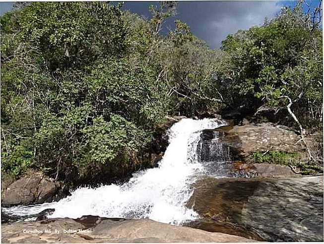 CARVALHOS MG, POR DALTON MACIEL - CARVALHOS - MG
