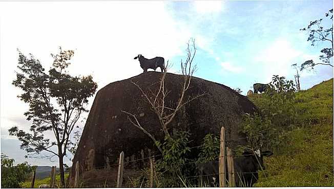 POR JARBAS VICENTE  LOPES - CATUJI - MG