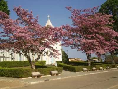JARDIM DA IGREJA, POR ILIS - CEDRO DO ABAET - MG