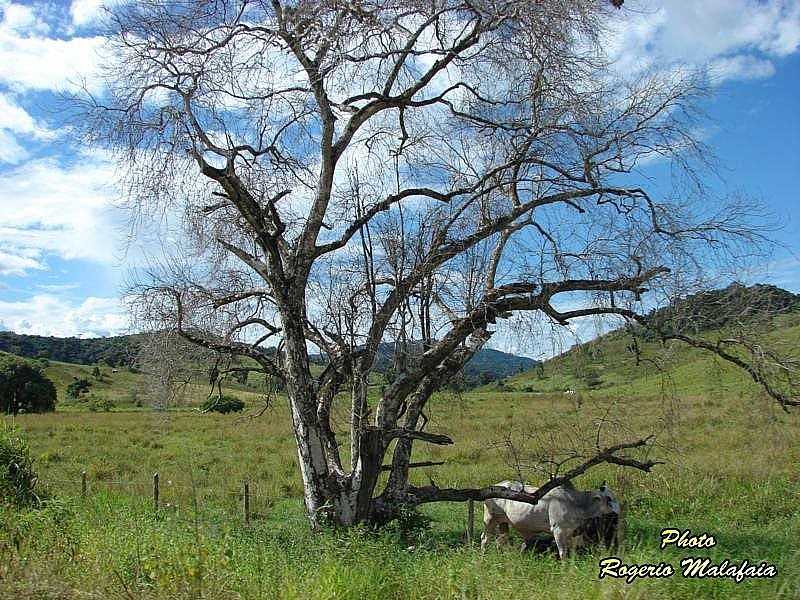 CHIADOR-MG-BEIRA DE ESTRADA PARA CHIADOR-FOTO:ROGRIO MALAFAIA - CHIADOR - MG