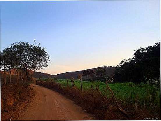 ESTRADA NA REA RURAL DE COIMBRA-MG-FOTO:ALMERINDO LANA - COIMBRA - MG