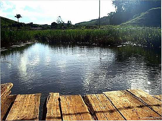 PONTE SOBRE O RIO DA GRAMA EM COIMBRA-MG-FOTO:ALMERINDO LANA - COIMBRA - MG