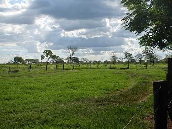 FAZENDA-FOTO:FABIOFRUTAL  - COMENDADOR GOMES - MG