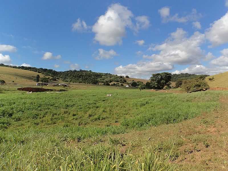 CONCEIO DE MINAS-MG-FAZENDA DO DISTRITO-FOTO:ROLDAO M - CONCEIO DE MINAS - MG