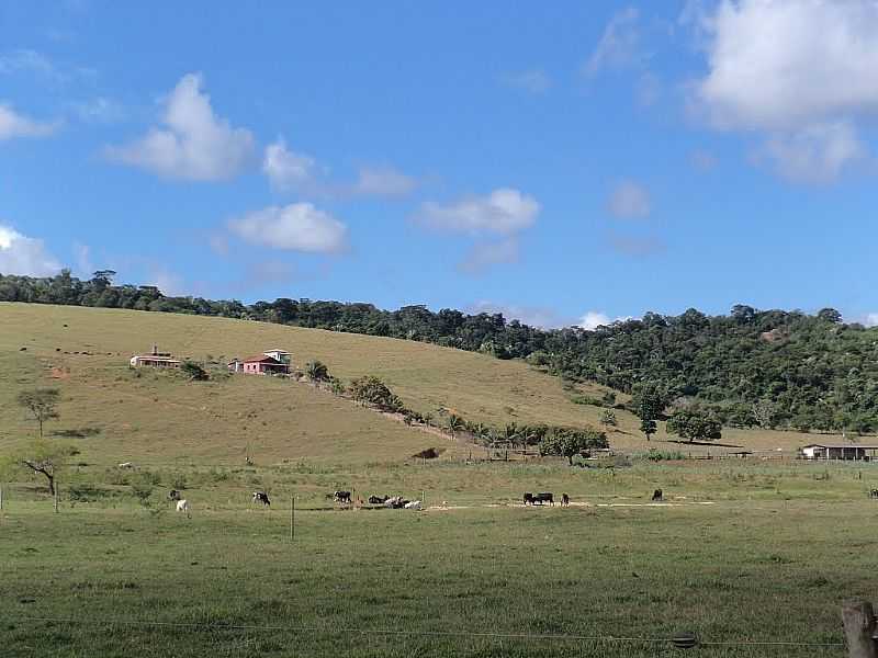 CONCEIO DE MINAS-MG-FAZENDA-FOTO:ROLDAO M - CONCEIO DE MINAS - MG