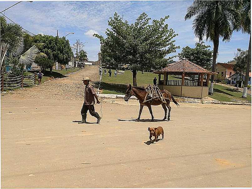IMAGENS DA LOCALIDADE DE CONCEIO DO FORMOSO DISTRITO DE SANTOS DUMONT - MG - CONCEIO DO FORMOSO - MG