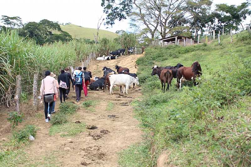 IMAGENS DA LOCALIDADE DE CONCEIO DO FORMOSO DISTRITO DE SANTOS DUMONT - MG - CONCEIO DO FORMOSO - MG