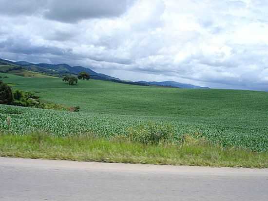 PAISAGEM DA REGIO-FOTO:PAULO ROBERTO DE CAR [PANORAMIO] - CONCEIO DO RIO VERDE - MG