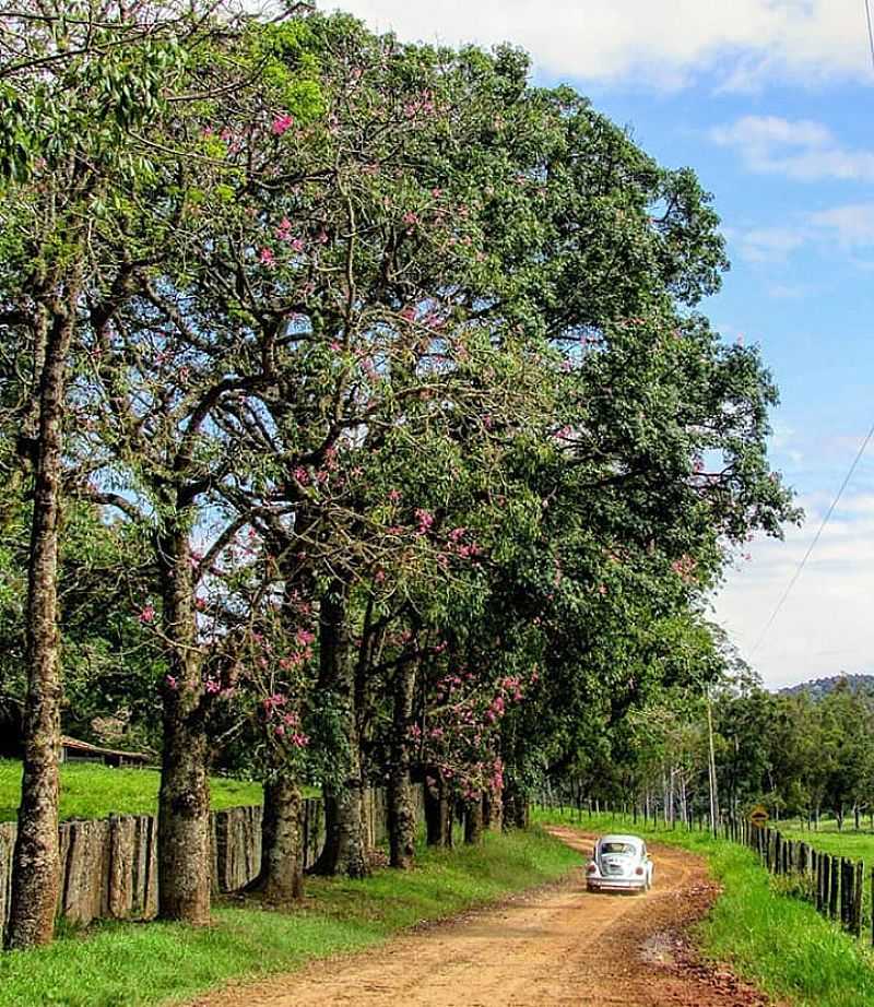 CONCEIO DOS OUROS -MG 
SUL DE MINAS 
FOTOGRAFIA DE LEONARDO SOUZA - CONCEIO DOS OUROS - MG
