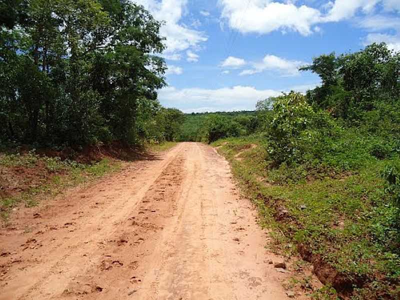 CNEGO MARINHO-MG-ESTRADA DE TERRA-FOTO:WWW.MAPASBRASIL.NET - CNEGO MARINHO - MG