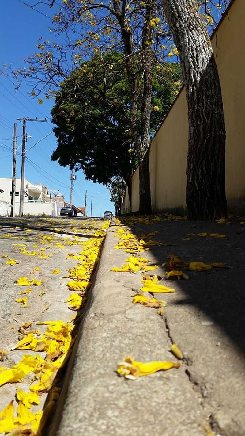 CONGONHAL-MG-E.E.MENDES DE OLIVEIRA NA RUA PRUDENTE DE MORAIS-FOTO:FACEBOOK - CONGONHAL - MG