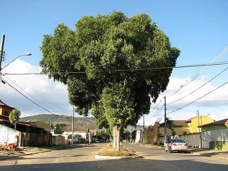 CONSELHEIRO PENA-MG-AVENIDA DA CIDADE-FOTO:JOTALU - CONSELHEIRO PENA - MG