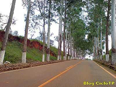 ESTRADA PARA COQUEIRAL
POR CICLOTP - COQUEIRAL - MG