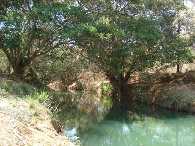 RIO PACU, POR MADELEINE - CORAO DE JESUS - MG