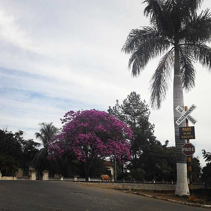 CORINTO - MG - CORINTO - MG