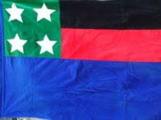 BANDEIRA DE CORONEL PACHECO MG, POR IMACULADA FONSECA - TURISMO CORONEL PACHECO - CORONEL PACHECO - MG