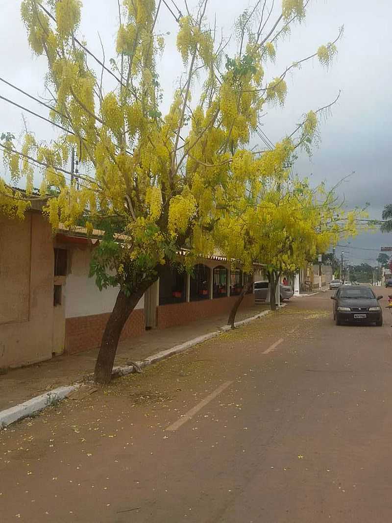 IMAGENS DA CIDADE DE BRASILIA - AC - BRASILIA - AC