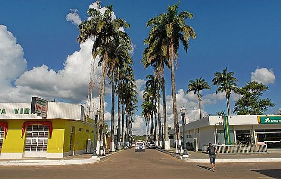 AVENIDA CENTRAL DE BRASILIA-FOTO:JEZAFLU=ACRE=BRASIL - BRASILIA - AC