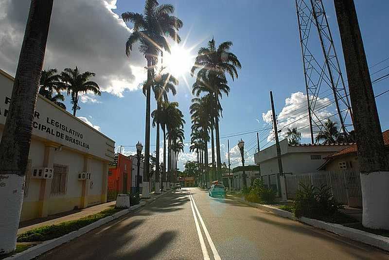 BRASILIA-AC-PALMEIRAS NA RUA DA PREFEITURA-FOTO:JEZAFLU JESUS - BRASILIA - AC