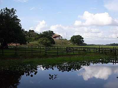 IGARAP DO LAGO POR FERNANDA OLIVEIRA - IGARAP DO LAGO - AP