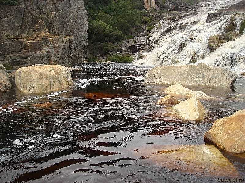 CACHUEIRA DE CURIMATA - MG -  POR SAWUELBRUNO - CURIMATA - MG