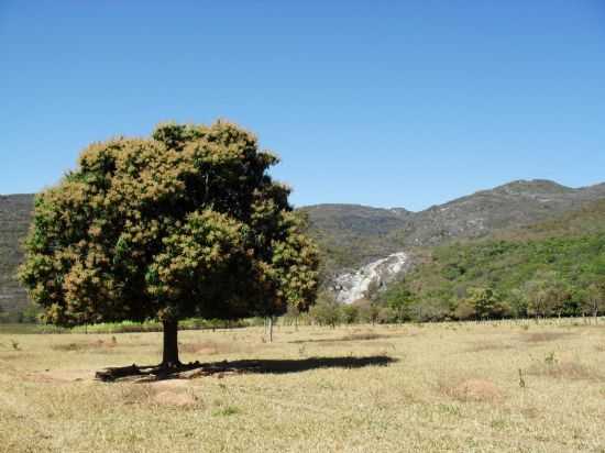 PAISAGENS, POR BRUNO C. MOURA VIVEIROS - CURIMATA - MG