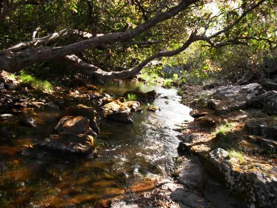 PAISAGENS, POR BRUNO C. MOURA VIVEIROS - CURIMATA - MG