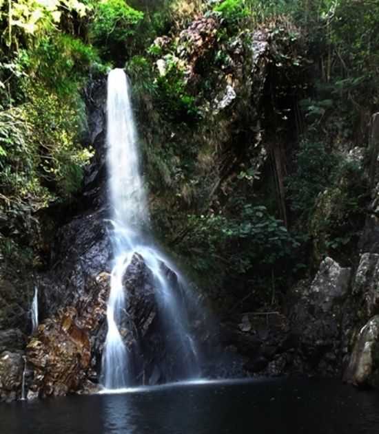 CACHOEIRA DO FACO, POR AMAURI HENRIQUE DE LIMA - DELFINPOLIS - MG