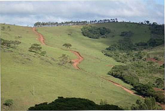 PAISAGEM DA REGIO-FOTO:EZEQUIAS FERREIRA CO[PANORAMIO] - DESTERRO DE ENTRE RIOS - MG