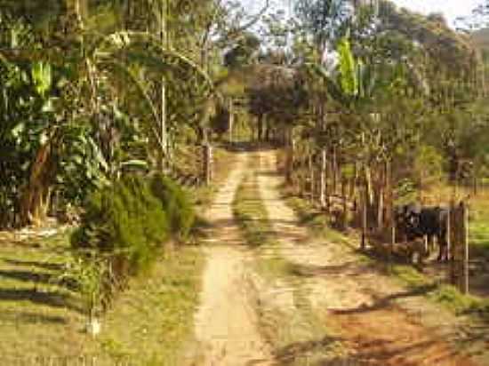 ESTRADA-FOTO:ANTONIODACOSTALIMA [PANORAMIO] - DESTERRO DO MELO - MG