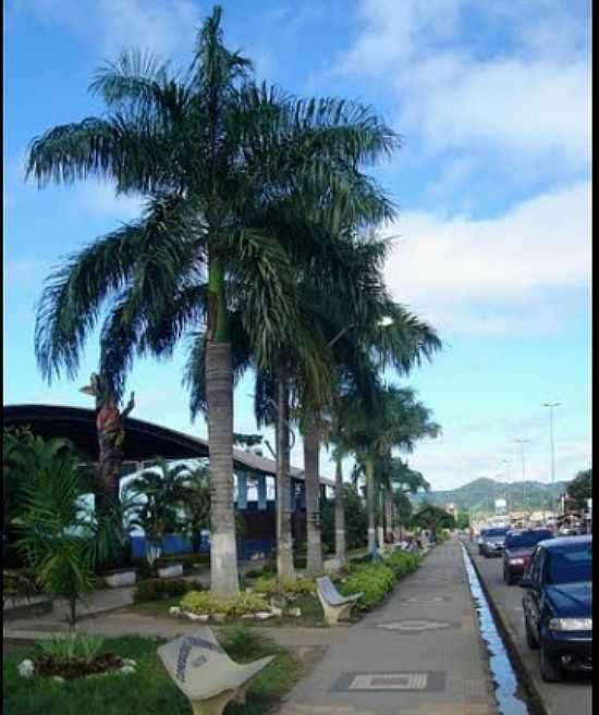 AV.TANCREDO NEVES EM LARANJAL DO JARI-FOTO:HERALDO AMORAS  - LARANJAL DO JARI - AP