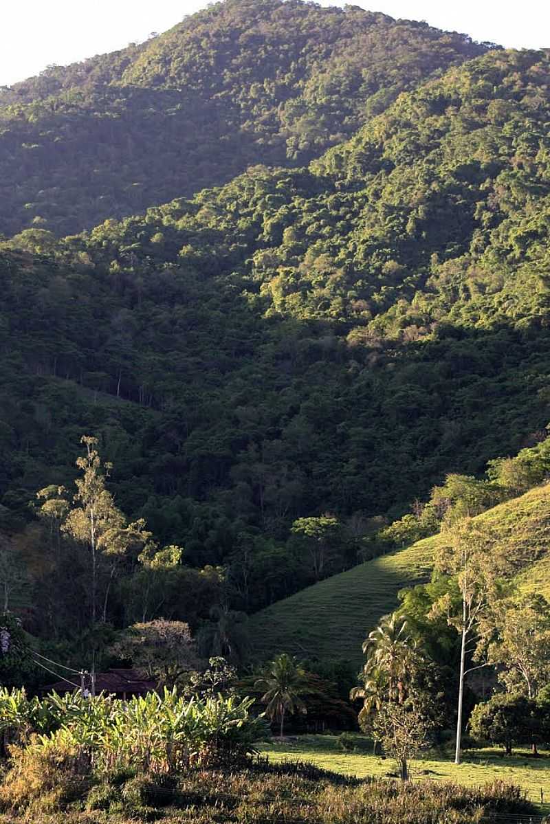 DIONSIO-MG-MORRO DO TATU-FOTO:JOS ROSRIO - DIONSIO - MG