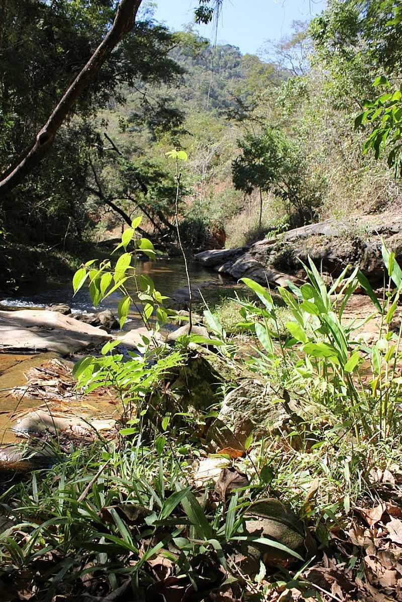 DIONSIO-MG-RIBEIRO DAS LARANJEIRAS-FOTO:JOS ROSRIO - DIONSIO - MG