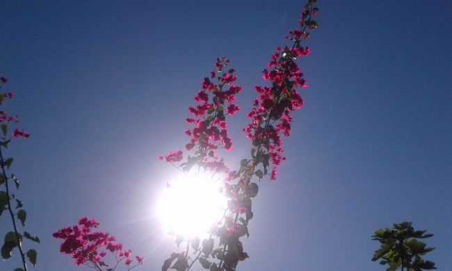 FOTO NATUREZA - DOM BOSCO MG, POR EDNA RESENDE - DOM BOSCO - MG