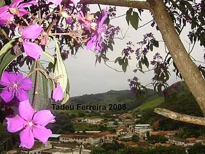 VISTA PARCIAL DE DOM SILVRIO-MG, DETALHE DE UMA QUARESMEIRA EM FLOR - DOM SILVRIO - MG