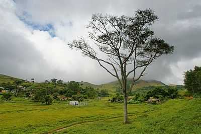 PAISAGEM-FOTO:SGTRANGEL  - DORES DA VITRIA - MG