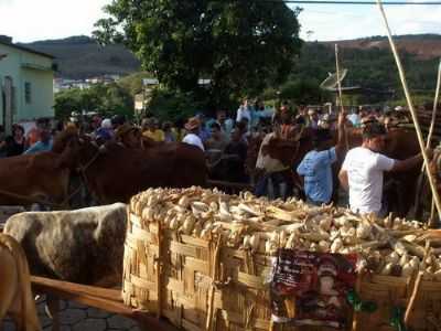 CARREGANDO MILHO, POR ZEMA - DORES DE CAMPOS - MG