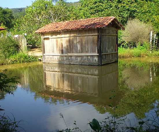 DORES DE GUANHES-MG-CELEIRO NO LAGO-FOTO:ROBERTO GLORIA - DORES DE GUANHES - MG