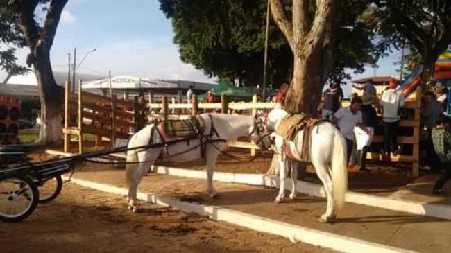 PRAA BH, POR RICARDO CELSO DE SOUZA - DOURADINHO - MG