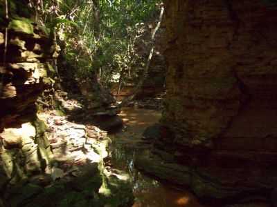 SACO DA ERVA, RECANTO DA NATUREZA!, POR LEANDRO ANTONIO DA SILVA - ENGENHO DO RIBEIRO - MG