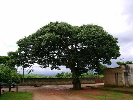 JATOB-FOTO:NILSON GREGORIO [PANORAMIO] - ENGENHO DO RIBEIRO - MG