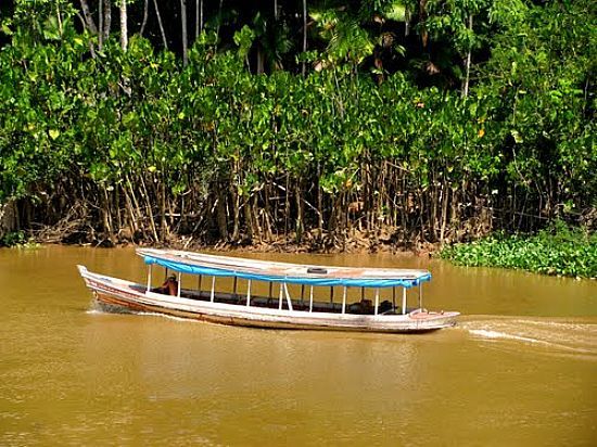 Resultado de imagem para mazagão amapá