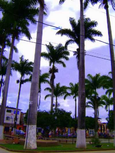 VENHA CONHECER, POR ANA MARIA - ENTRE FOLHAS - MG
