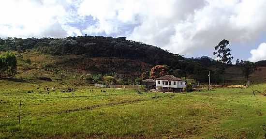 ERVLIA-MG-PAISAGEM RURAL-FOTO:AMARILDO SOUZA - ERVLIA - MG