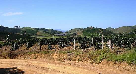 ERVLIA-MG-VISTA DA REPRESA DA USINA-FOTO:AMARILDO SOUZA - ERVLIA - MG