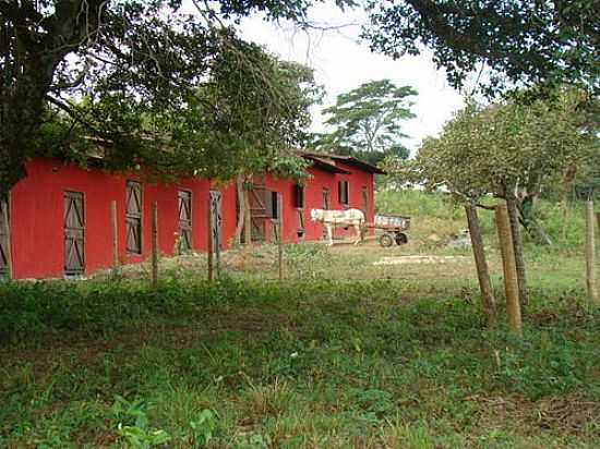 HARAS-FOTO:FAUSTO SANTOS AMORIM [PANORAMIO] - ESMERALDAS - MG