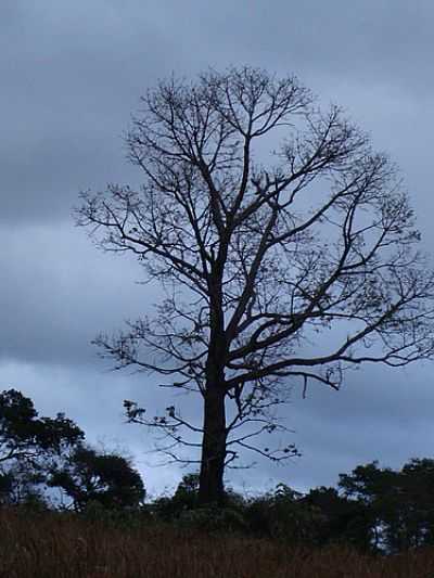 IMAGEM-FOTO:GUI RIOS  - ESTEVO DE ARAJO - MG