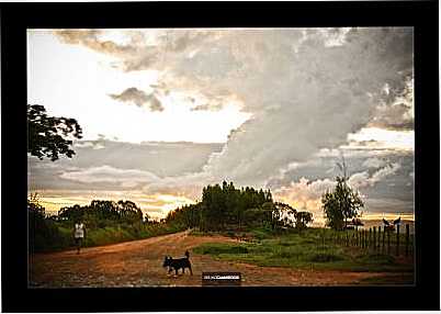 ESTRADA DO MATADOURO, POR BRUNO CAMARGOS - ESTRELA DO INDAI - MG