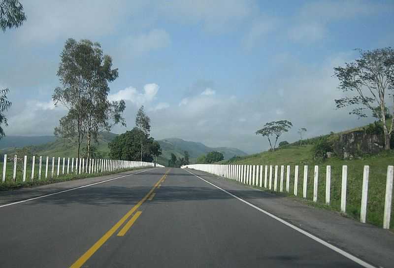 ATALAIA-AL-RODOVIA BR-316-FOTO:CINZA  - ATALAIA - AL